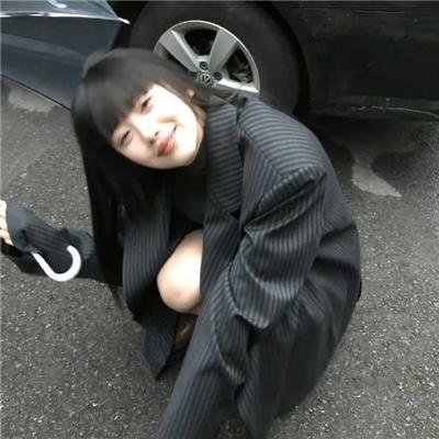 极地熊踪